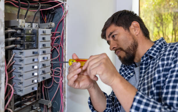 Best Electric Panel Repair  in Glenn Heights, TX